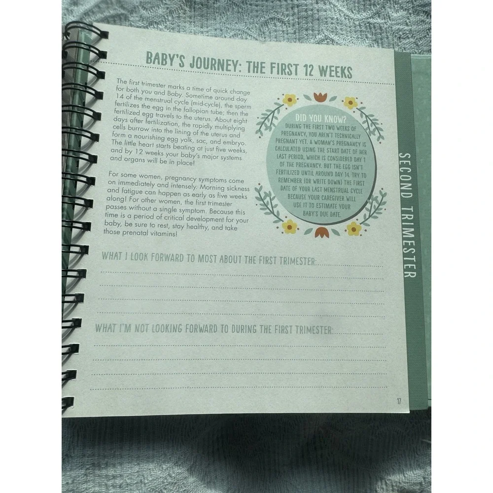 Bump for Joy A Pregnancy Journal Hardcover Beginning to End Keepsake New Other